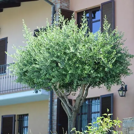 Ca' In Langhe & Roero Guarene